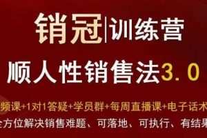爆款！销冠训练营3.0之顺人性销售法，全方位解决销售难题、可落地、可…