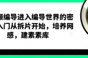短视频编导进入编导世界的密钥，入门从拆片开始，培养网感，建素素库 …