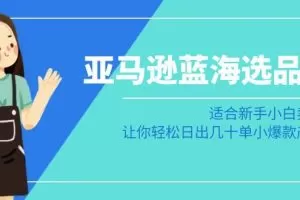 亚马逊蓝海选品课：适合新手小白卖家，让你轻松日出几十单小爆款产品