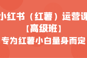 小红书（红薯）运营课【高级班】，专为红薯小白量身而定（42节课）