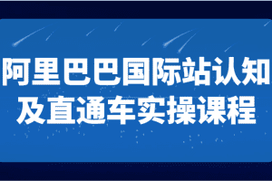阿里巴巴国际站认知及直通车实操课-国际地产逻辑、国际站运营定位、TOP商家运营思路