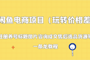 闲鱼电商项目（玩转价格差）：注册养号标题图片咨询成交售后选品货源等，一条龙教程