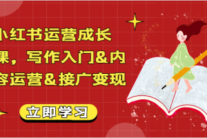 小红书运营成长课，写作入门&内容运营&接广变现【文档】