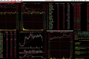 袁博【牛散特训营专栏】通达信软件分析课