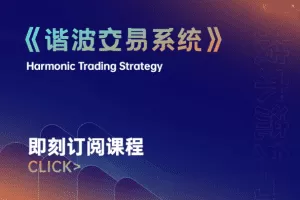 【外汇期货】兔子谐波交易系统
