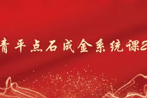 「何青平」何青平点石成金系统课20节