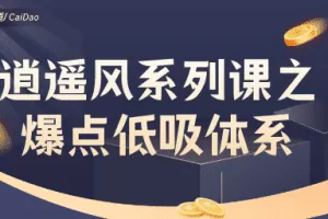 「极道」 作手逍遥风逍遥风系列课之爆点低吸体系 极道交易风系列课