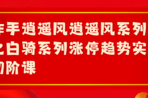 「极道」 作手逍遥风逍遥风系列课之白骑系列涨停趋势实战初阶课