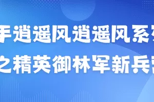 「极道」 作手逍遥风逍遥风系列课之精英御林军新兵营