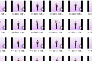 北舞学院派维吾尔族舞风格全效系统课-北舞学院派李老师亲授