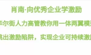 向优秀企业学激励