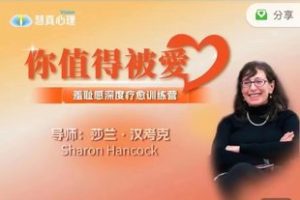 莎兰·汉考克《原生家庭疗愈男性+女性篇》