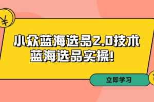 拼多多培训第33期：小众蓝海选品2.0技术-蓝海选品实操