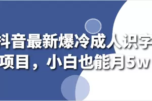 抖音最新爆冷成人识字项目，小白也能月5w
