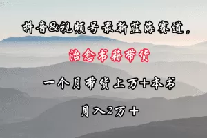抖音&视频号最新蓝海赛道，治愈书籍带货，一个月带货上万+本书，月入2万＋