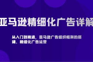 亚马逊精细化广告详解-从入门到精通，亚马逊广告组织框架的搭建、精细化广告运营