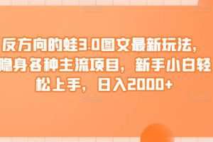反方向的蛙3.0图文最新玩法，隐身各种主流项目，新手小白轻松上手，日入2000+
