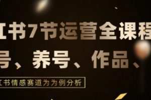 7节小红书运营实战全教程，结合最新情感赛道，打通小红书运营全流程