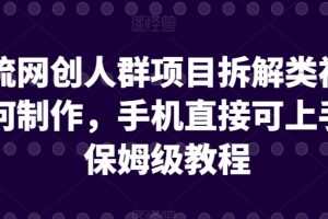 引流网创人群项目拆解类视频如何制作，手机直接可上手，保姆级教程