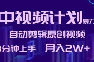 中视频计划暴力起号，自动剪辑原创视频，3分钟上手，月入2W+