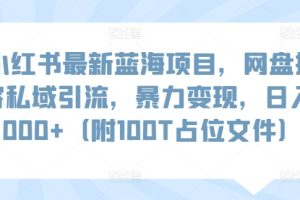 小红书最新蓝海项目，网盘扩容私域引流，暴力变现，日入1000+（附100T占位文件）
