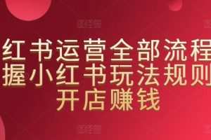 小红书运营全部流程，掌握小红书玩法规则，开店赚钱