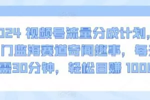 2024视频号流量分成计划，冷门监海赛道奇闻趣事，每天只需30分钟，轻松目赚 1000+