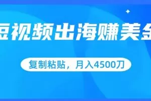 短视频出海赚美金，复制粘贴批量操作，小白轻松掌握，月入4500美刀