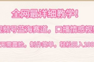 全网最详细教学，视频号蓝海赛道，口播情感视频，无需露脸，制作简单，轻松实现日入1000+