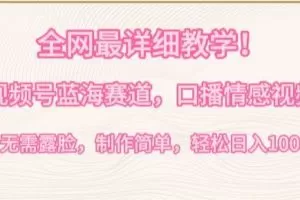 全网最详细教学，视频号蓝海赛道，口播情感视频，无需露脸，制作简单，轻松实现日入1000+
