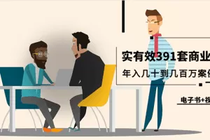 真实有效391套商业模式，年入几十到几百万案例解析（电子书+视频+图文…