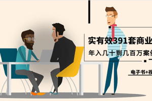 真实有效391套商业模式，年入几十到几百万案例解析（电子书+视频+图文…