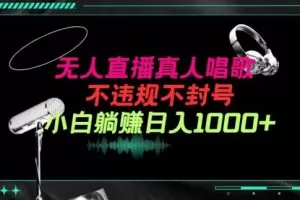 抖音24小时无人直播音乐，不违规，不封号纯撸音浪，小白实操当天日入1000+