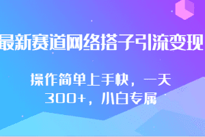 最新赛道网络搭子引流变现!!操作简单上手快，一天300+，小白专属