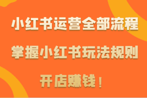 小红书运营全部流程，掌握小红书玩法规则，开店赚钱！