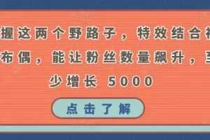 掌握这两个野路子，特效结合神奇布偶，能让粉丝数量飙升，至少增长 5000
