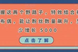 掌握这两个野路子，特效结合神奇布偶，能让粉丝数量飙升，至少增长 5000