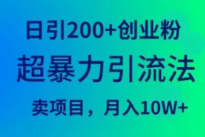 超暴力引流法，日引200+创业粉，卖项目月入10W+