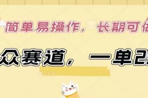 小众赛道，一单299.简单易操作，长期可做