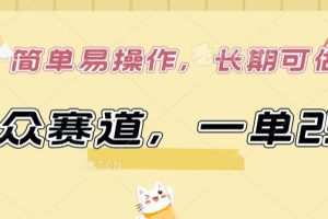 小众赛道，一单299.简单易操作，长期可做