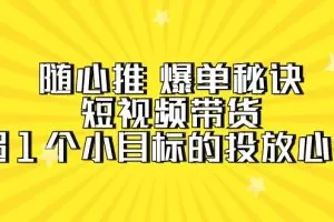 随心推 爆单秘诀，短视频带货-超1个小目标的投放心得（7节视频课）