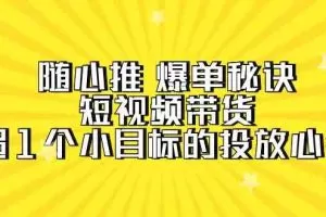 随心推爆单秘诀，短视频带货-超1个小目标的投放心得（7节视频课）