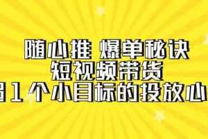 随心推爆单秘诀，短视频带货-超1个小目标的投放心得（7节视频课）
