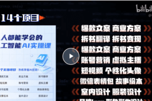 【人工智能AI实操课】14个项目带你熟练掌握AI