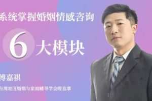 傅嘉祺 系统掌握婚姻情感咨询6大模块52集视频课程