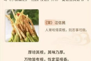 菜根谭30堂处事修养课