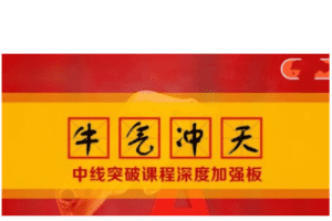 「李晓光」李晓光 牛气冲天中线突破课程深度加强板 视频课程36集