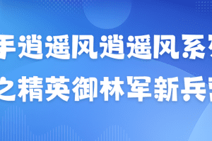 「极道」 作手逍遥风逍遥风系列课之精英御林军新兵营