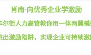 向优秀企业学激励