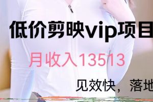 揭秘低价剪映VIP项目，月入13000+